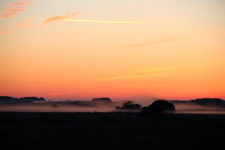 Mosekonen og Elverpigerne - Foto: Freddy Ove Petersen