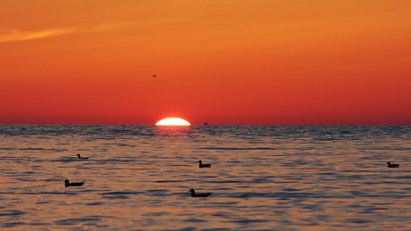 Vesterhavet - Foto: Freddy Ove Petersen